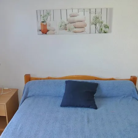 Apartment Navarrosse Duplex Avec Mezzanine Classe 1 Etoile Biscarrosse