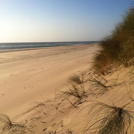 Navarrosse Duplex Avec Mezzanine Classe 1 Etoile Apartment