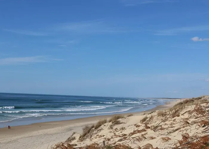 Apartment Navarrosse Duplex Avec Mezzanine Classe 1 Etoile Biscarrosse