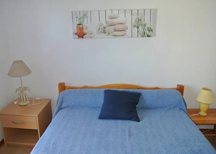 Apartment Navarrosse Duplex Avec Mezzanine Classe 1 Etoile Biscarrosse