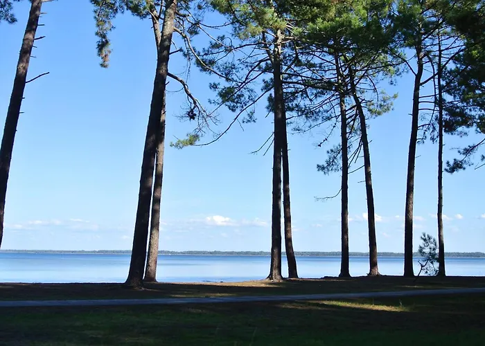 Navarrosse Duplex Avec Mezzanine Classe 1 Etoile Apartment Biscarrosse