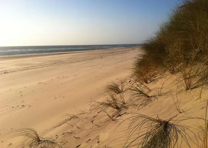 Navarrosse Duplex Avec Mezzanine Classe 1 Etoile Daire